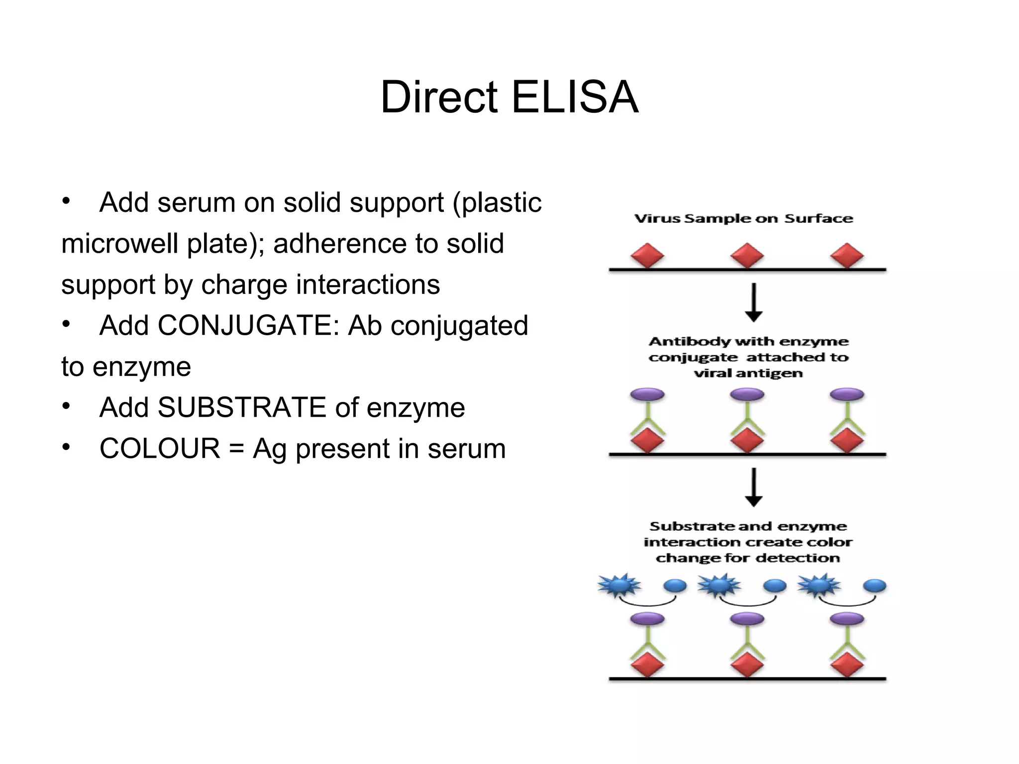 Direct ELISA
• Add serum on solid support (plastic
microwell plate); adherence to solid
support by charge interactions
• Add CONJUGATE: Ab conjugated
to enzyme
• Add SUBSTRATE of enzyme
• COLOUR = Ag present in serum
 