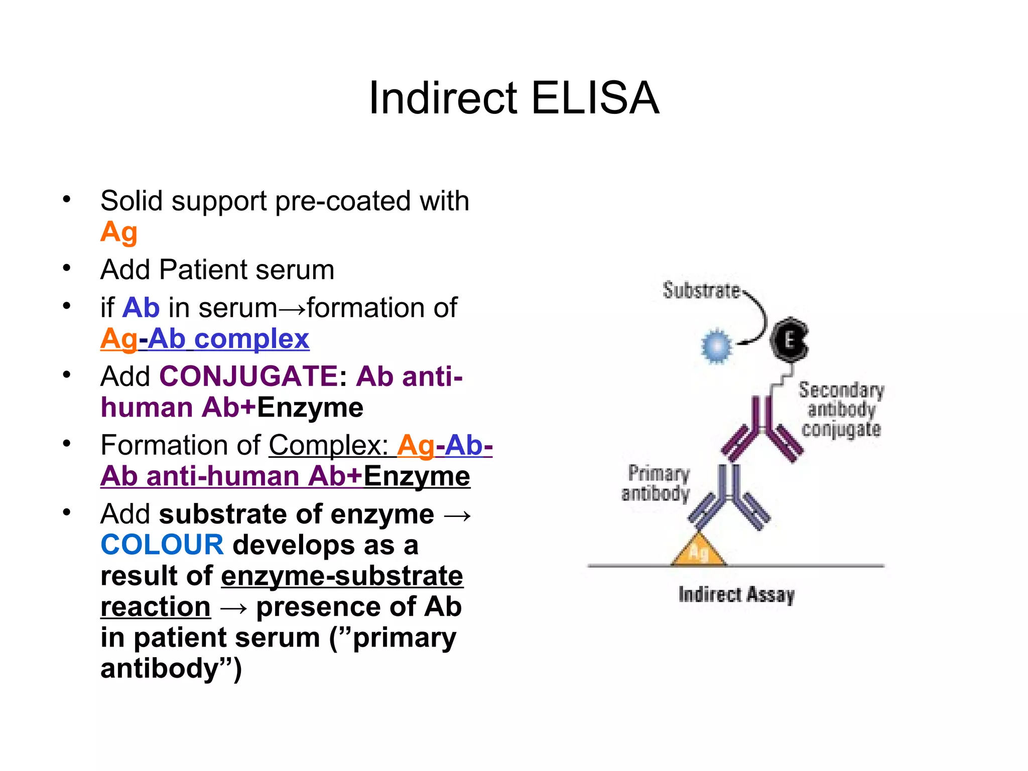 Indirect ELISA
• Solid support pre-coated with
Ag
• Add Patient serum
• if Ab in serum→formation of
Ag-Ab complex
• Add CONJUGATE: Ab anti-
human Ab+Enzyme
• Formation of Complex: Ag-Ab-
Ab anti-human Ab+Enzyme
• Add substrate of enzyme →
COLOUR develops as a
result of enzyme-substrate
reaction → presence of Ab
in patient serum (”primary
antibody”)
 