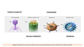 viruses in periodontics and their effects | PPTX