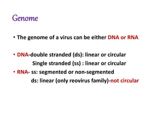Genome
• The genome of a virus can be either DNA or RNA
• DNA-double stranded (ds): linear or circular
Single stranded (ss) : linear or circular
• RNA- ss: segmented or non-segmented
ds: linear (only reovirus family)-not circular
 