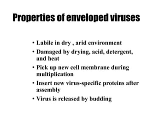Properties of enveloped viruses
• Labile in dry , arid environment
• Damaged by drying, acid, detergent,
and heat
• Pick up new cell membrane during
multiplication
• Insert new virus-specific proteins after
assembly
• Virus is released by budding
 