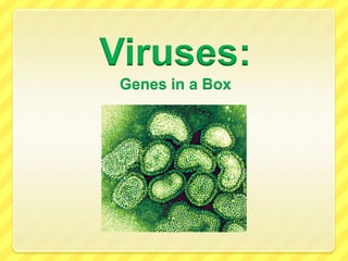 Viruses:Genes in a Box 