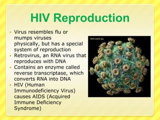 Plant VirusesCan stunt plant growth  and diminish crop yieldsMost contain RNA rather then DNA as their genetic materialGenetic engineering has been used to create plants resistant to some of the virusesEx: Tobacco Mosaic Virus, Potato X Virus