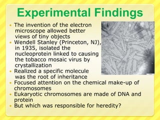 Dmitri Iwanovski1892, Russian Dmitri Iwanovski began research studying a disease effecting tobacco plantsCrushed plants to extract juicesHealthy plants were exposed to the extract and they then became infectedThe liquid was then filtered in order to remove the infection, but it still caused the plants to become diseasedConcluded there must be something in the infected plants that would ‘poison’ healthy ones