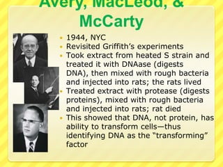 Frederick Griffith1928, British MicrobiologistStudied the affects of two versions of the bacteria that causes pneumonia, one was pathogenic (smooth) and the other harmless (rough)