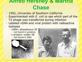 Experimental FindingsThe invention of the electron   microscope allowed better    views of tiny objectsWendell Stanley (Princeton, NJ),   in 1935, isolated the    nucleoprotein linked to causing    the tobacco mosaic virus by    crystallizationRealized a specific molecule    was the root of inheritanceFocused attention on the chemical make-up of chromosomesEukaryotic chromosomes are made of DNA and proteinBut which was responsible for heredity?