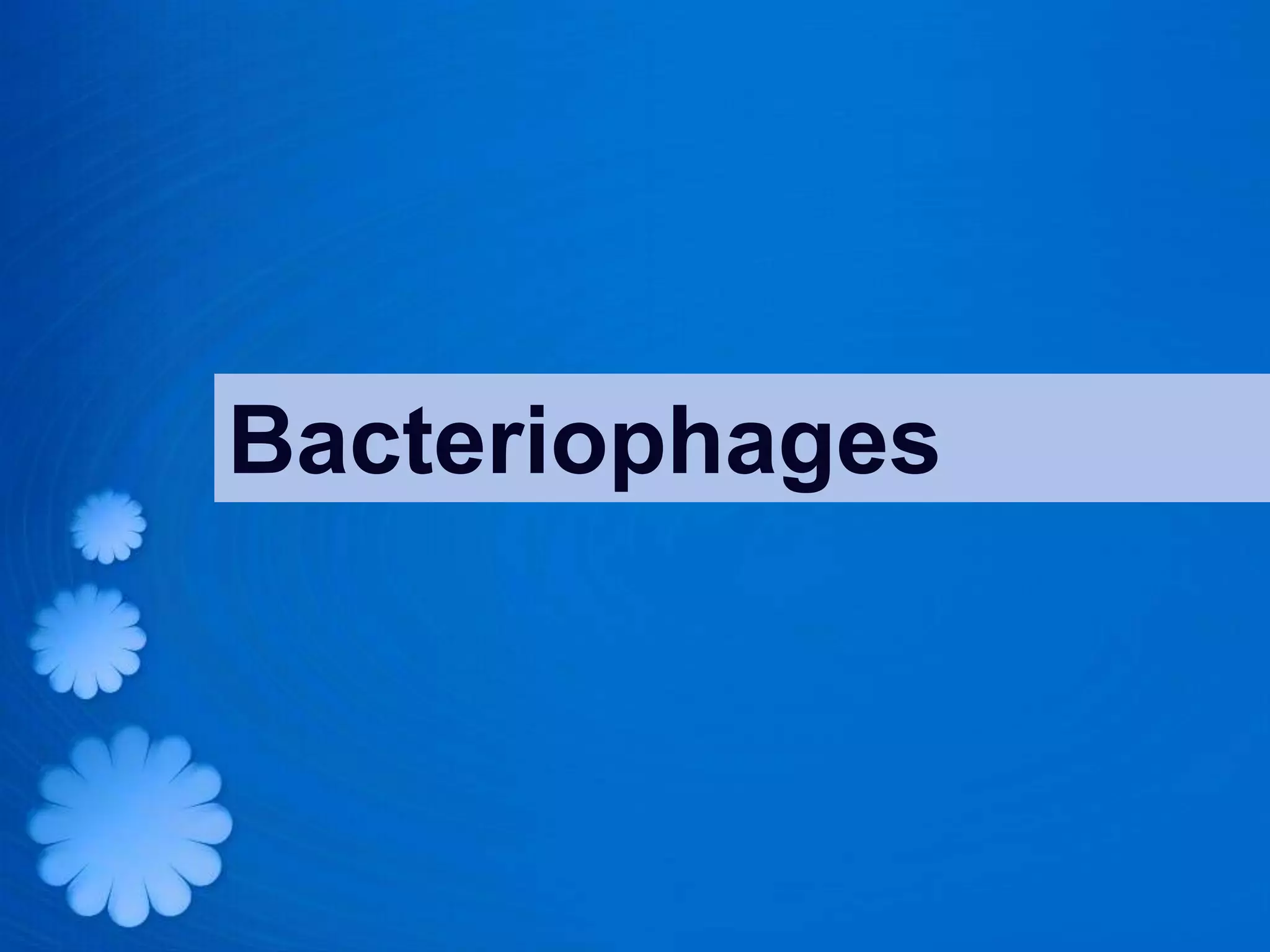 Bacteriophages
 