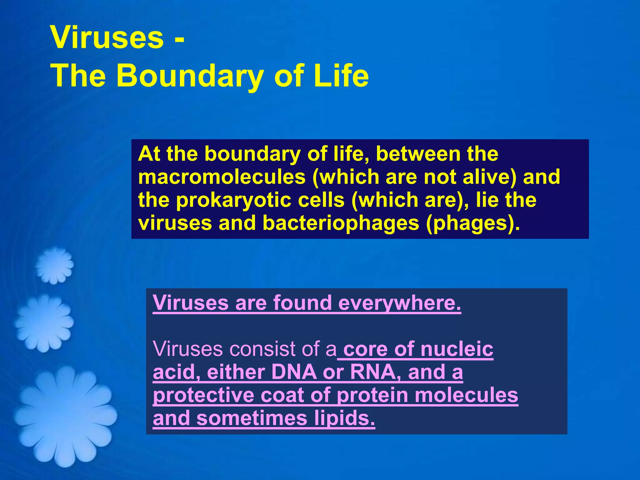 Viruses -
The Boundary of Life

     At the boundary of life, between the
     macromolecules (which are not alive) and
     the prokaryotic cells (which are), lie the
     viruses and bacteriophages (phages).


      Viruses are found everywhere.

      Viruses consist of a core of nucleic
      acid, either DNA or RNA, and a
      protective coat of protein molecules
      and sometimes lipids.
 