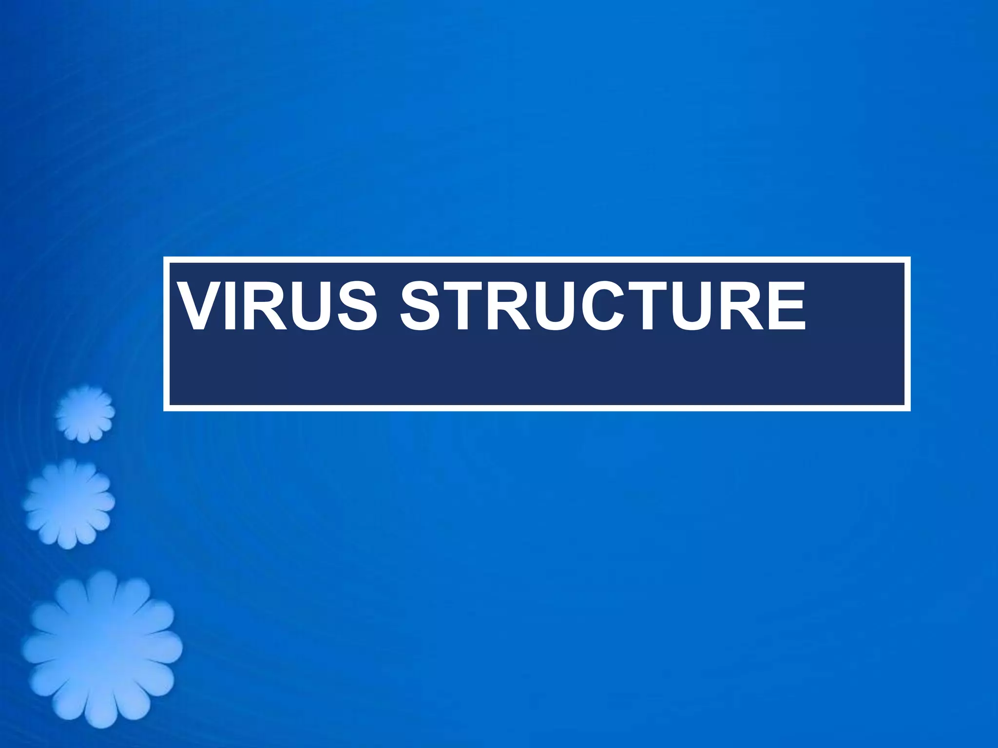 VIRUS STRUCTURE
 