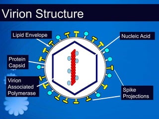 Virion Structure
  Lipid Envelope   Nucleic Acid



 Protein
 Capsid

 Virion
 Associated
                   Spike
 Polymerase
                   Projections
 