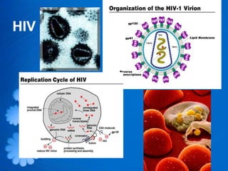 HIV
 