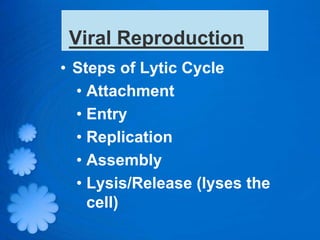 Viral Reproduction
• Steps of Lytic Cycle
  • Attachment
  • Entry
  • Replication
  • Assembly
  • Lysis/Release (lyses the
    cell)
 