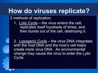 How do viruses replicate?
2 methods of replication:
  1. Lytic Cycle – the virus enters the cell,
     replicates itself hundreds of times, and
     then bursts out of the cell, destroying it.

  2. Lysogenic Cycle – the virus DNA integrates
  with the host DNA and the host’s cell helps
  create more virus DNA. An environmental
  change may cause the virus to enter the Lytic
  Cycle.
 
