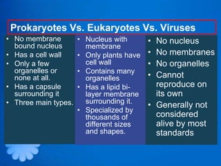 Prokaryotes Vs. Eukaryotes Vs. Viruses
• No membrane         • Nucleus with       • No nucleus
  bound nucleus         membrane
• Has a cell wall     • Only plants have   • No membranes
• Only a few            cell wall          • No organelles
  organelles or       • Contains many
  none at all.          organelles         • Cannot
• Has a capsule       • Has a lipid bi-      reproduce on
  surrounding it        layer membrane       its own
• Three main types.     surrounding it.
                                           • Generally not
                      • Specialized by
                        thousands of         considered
                        different sizes      alive by most
                        and shapes.          standards
 