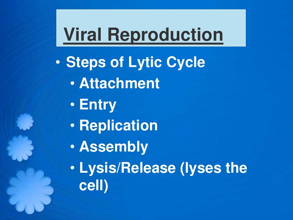 Viruses ppt