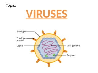 Introduction to Viruses structure and Classification | PPTX