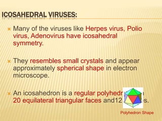 ICOSAHEDRAL VIRUSES:
 Many of the viruses like Herpes virus, Polio
virus, Adenovirus have icosahedral
symmetry.
 They resembles small crystals and appear
approximately spherical shape in electron
microscope.
 An icosahedron is a regular polyhedron with
20 equilateral triangular faces and12 vertices.
Polyhedron Shape
 