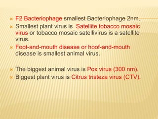  F2 Bacteriophage smallest Bacteriophage 2nm.
 Smallest plant virus is Satellite tobacco mosaic
virus or tobacco mosaic satellivirus is a satellite
virus.
 Foot-and-mouth disease or hoof-and-mouth
disease is smallest animal virus.
 The biggest animal virus is Pox virus (300 nm).
 Biggest plant virus is Citrus tristeza virus (CTV).
 