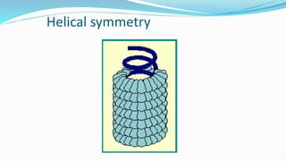 Helical symmetry
 