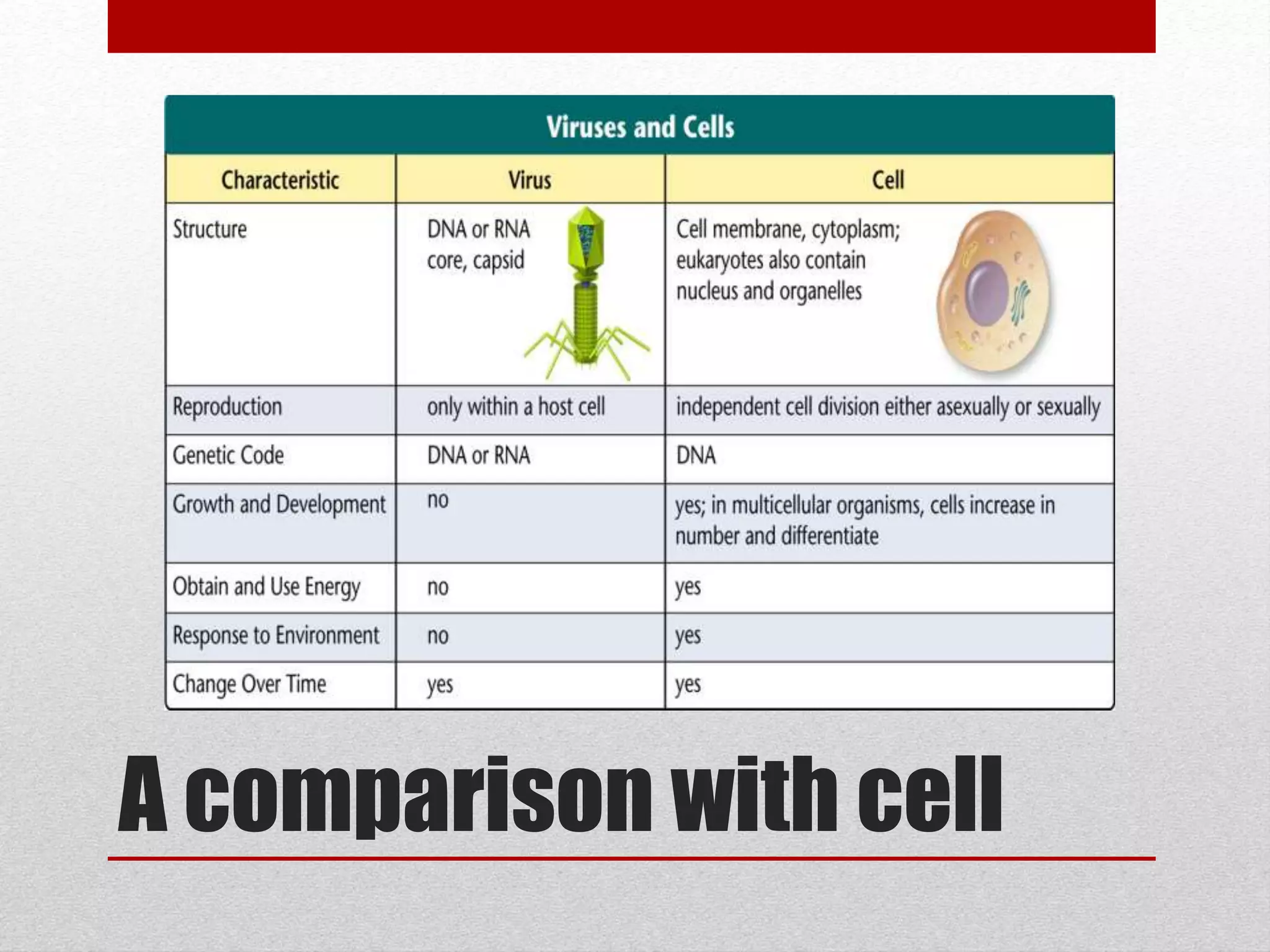 A comparison with cell
 