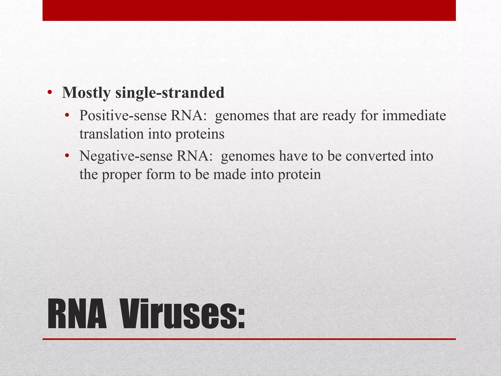 RNA Viruses:
• Mostly single-stranded
• Positive-sense RNA: genomes that are ready for immediate
translation into proteins
• Negative-sense RNA: genomes have to be converted into
the proper form to be made into protein
 