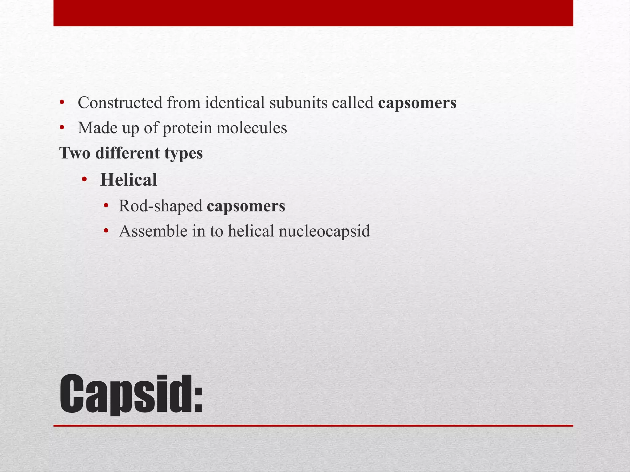 Capsid:
• Constructed from identical subunits called capsomers
• Made up of protein molecules
Two different types
• Helical
• Rod-shaped capsomers
• Assemble in to helical nucleocapsid
 