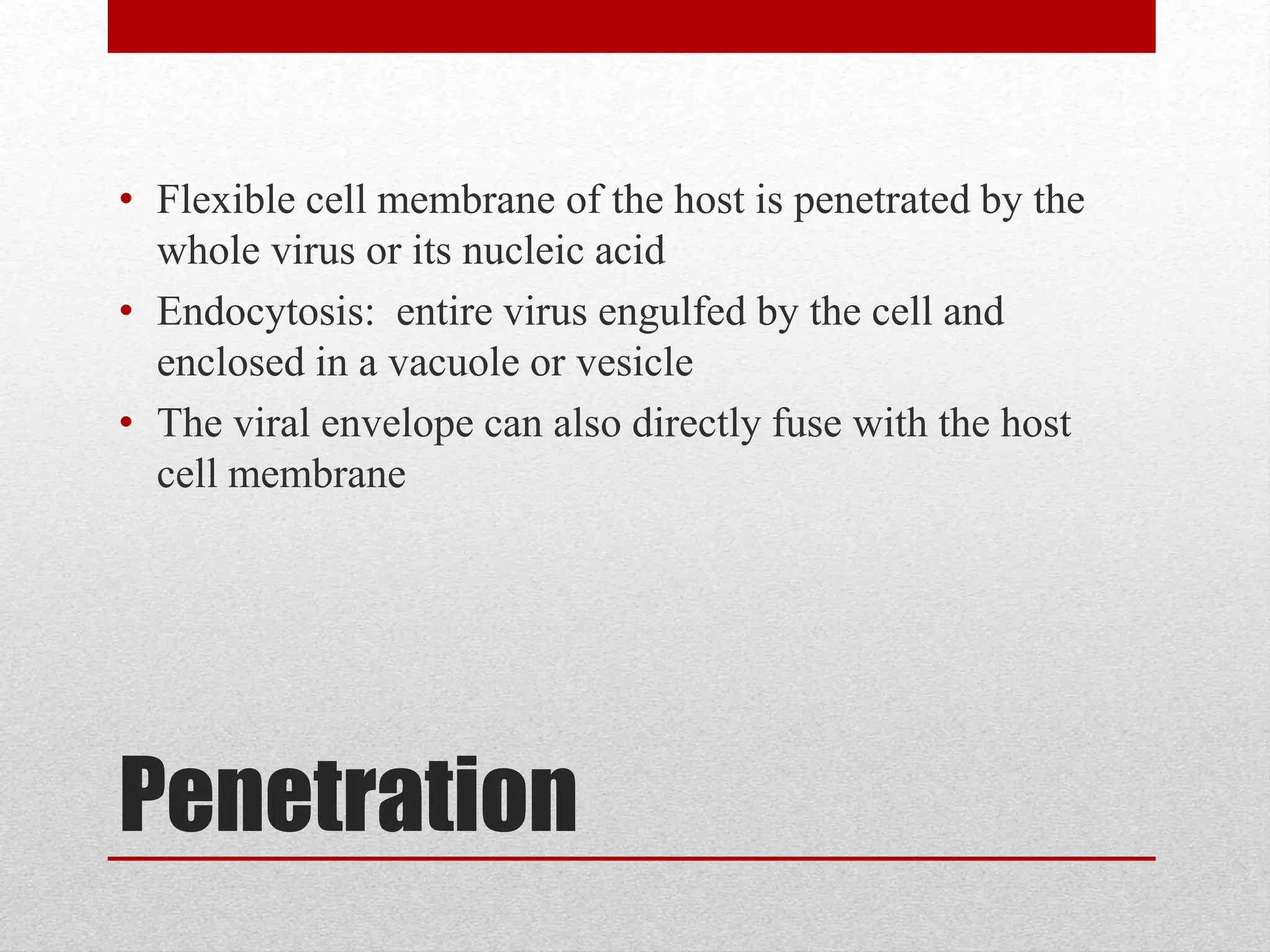 Penetration
• Flexible cell membrane of the host is penetrated by the
whole virus or its nucleic acid
• Endocytosis: entire virus engulfed by the cell and
enclosed in a vacuole or vesicle
• The viral envelope can also directly fuse with the host
cell membrane
 