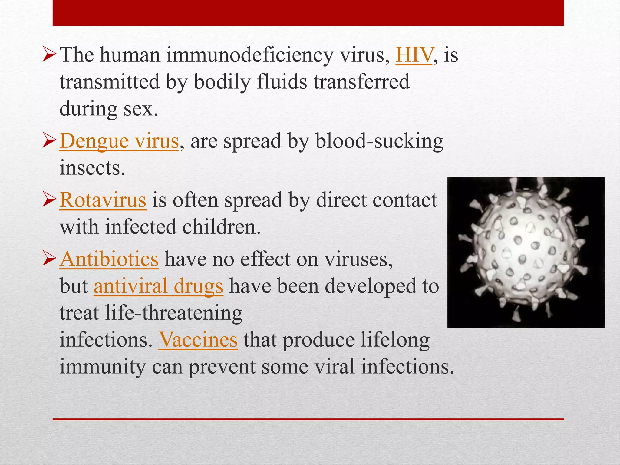 The human immunodeficiency virus, HIV, is
transmitted by bodily fluids transferred
during sex.
Dengue virus, are spread by blood-sucking
insects.
Rotavirus is often spread by direct contact
with infected children.
Antibiotics have no effect on viruses,
but antiviral drugs have been developed to
treat life-threatening
infections. Vaccines that produce lifelong
immunity can prevent some viral infections.
 