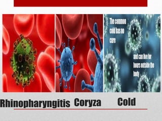 ColdRhinopharyngitis Coryza
 