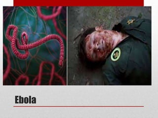 Ebola
 