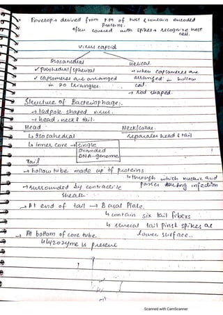 Virus Notes.pdf Viruses (Variety of Life) notes by oxford university | PDF