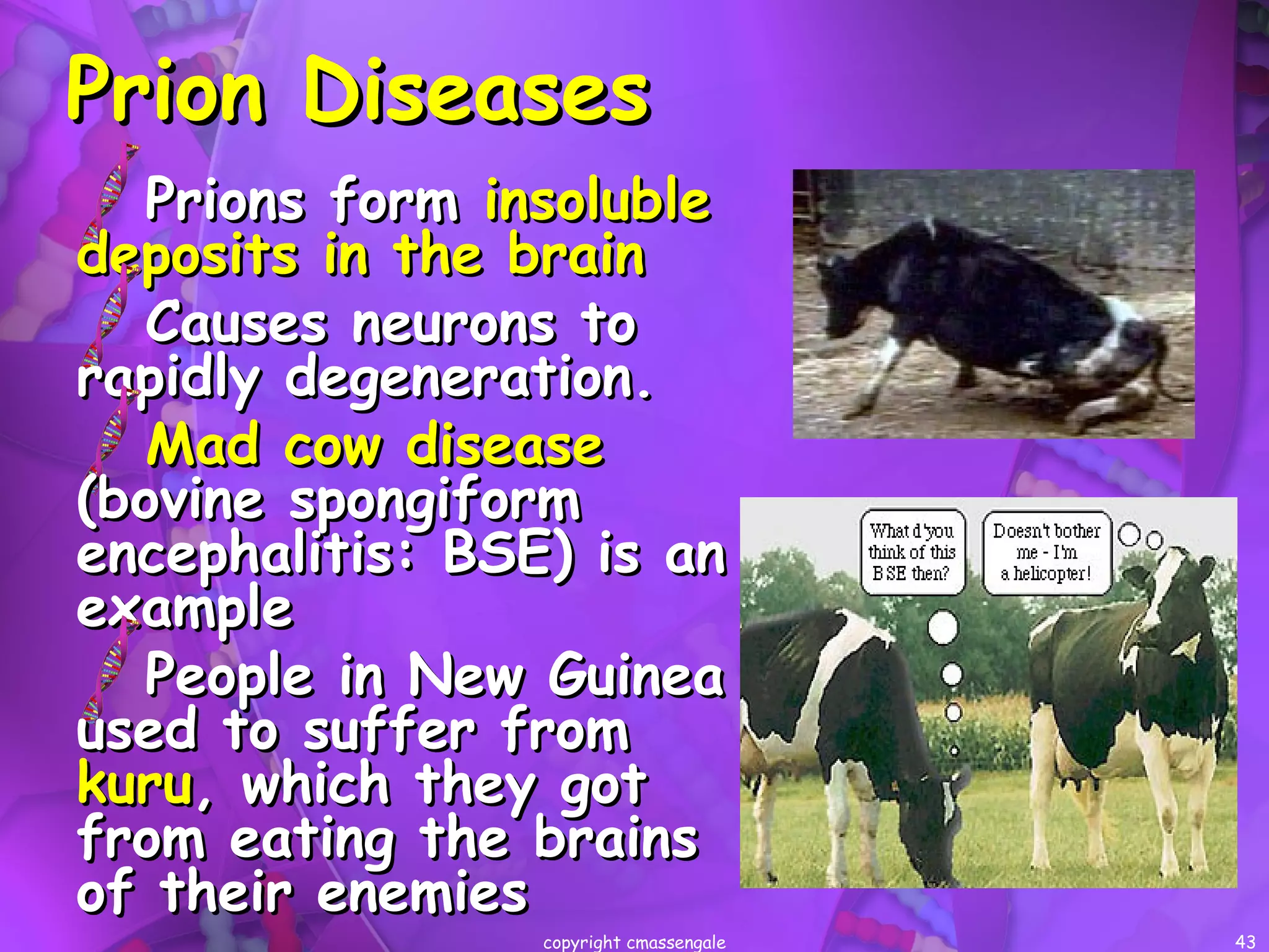 Viruses, viroids, and prions | PPT
