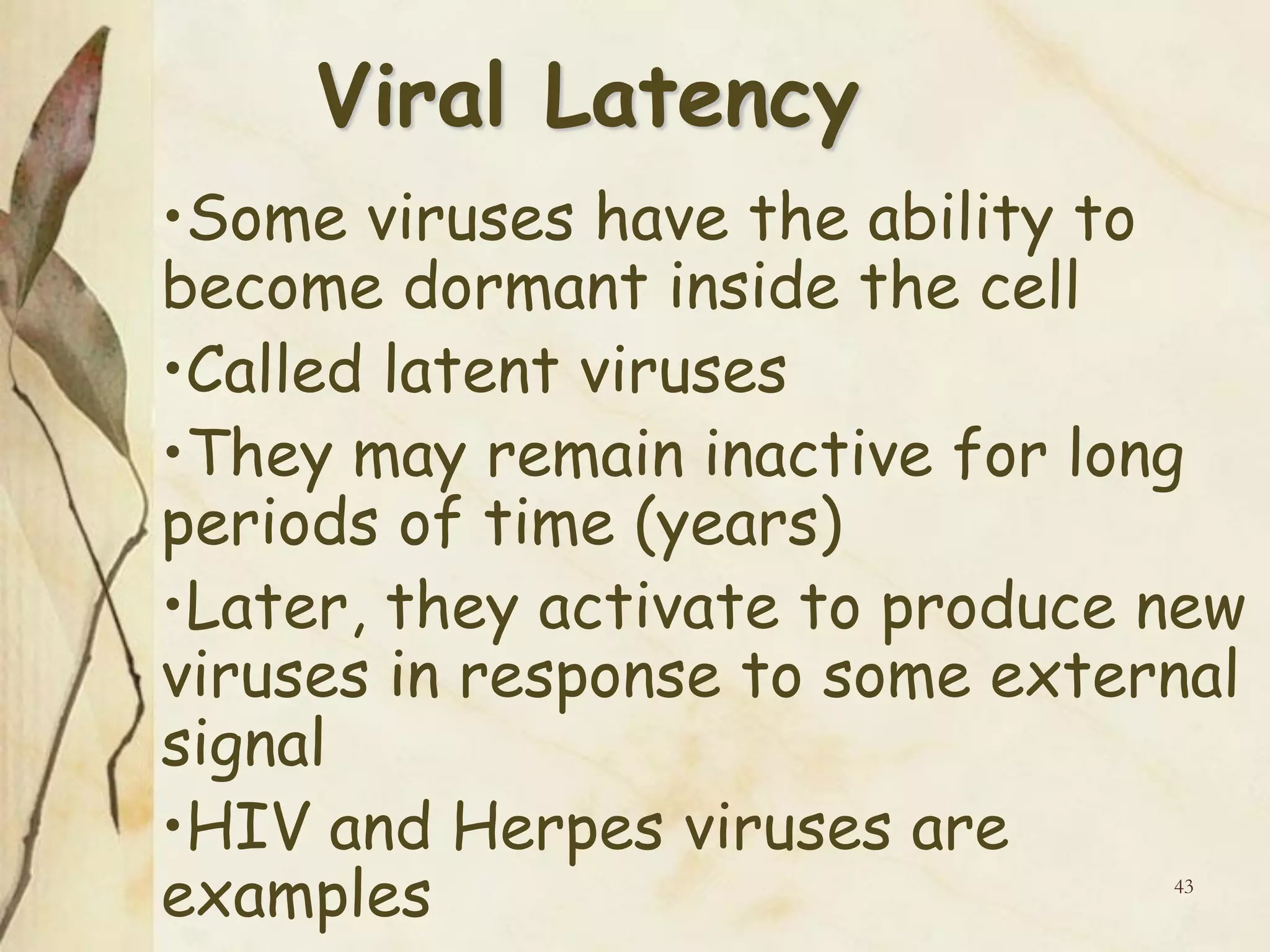 Viral Latency
•Some viruses have the ability to
become dormant inside the cell
•Called latent viruses
•They may remain inactive for long
periods of time (years)
•Later, they activate to produce new
viruses in response to some external
signal
•HIV and Herpes viruses are
examples 43
 