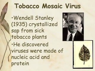 what is one short term effect of tobacco use Cigarette Smoking | Smoking and Tobacco Use