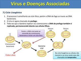Vírus e Doenças Associadas6) Ciclo Lítico