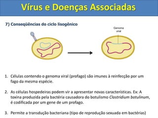 Vírus e Doenças Associadas6) Ciclo Lítico