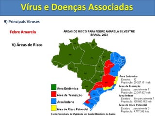 Os vírus HIV podem permanecer “inativos” por cerca de 10 anos no organismo e o paciente nesse período não manifesta nenhum sintoma.
