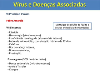Por motivos ainda inexplicáveis os vírus tornam-se ativos e iniciam a reprodução via ciclo lítico e a partir disso o paciente começa a desenvolver os sintomas da doença.