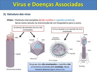 Vírus e Doenças Associadas3)  Estrutura dos vírusVírion= Partícula viral completa (ácido nucléico + capsídeo protéico).		    Serve como veículo na transmissão de um hospedeiro para o outro.Os demais são exemplos de vírus não envelopados.O vírus da gripe é um exemplo de vírus envelopado.Existem vírus de diferentes formas geométricas (helicoidais, poliédricos, icosaédricos, cilíndricos...)Podemos classificar os vírus em dois grandes grupos: o grupo dos vírus Envelopados e o dos não Envelopados.No grupo dos vírus envelopados o capsídeo é coberto pelo envelope que é formado quando o vírus é exocitado da célula hospedeira.Dessa maneira, o envelope é formado por uma porção da membrana citoplasmática da célula hospedeira.No grupo dos não envelopados o capsídeonão se encontra envolvido pelo envelope, dessa maneira dizemos que o vírus é nu.