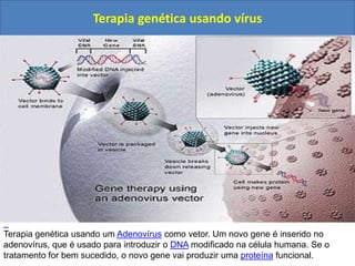  ChoqueDestruição de células do fígado e células endoteliais (hemorragias).