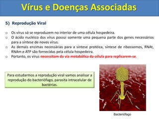Vírus e Doenças Associadas5)  Reprodução ViralOs vírus só se reproduzem no interior de uma célula hospedeira.