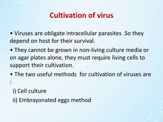Cultivation of virus
• Viruses are obligate intracellular parasites .So they
depend on host for their survival.
• They cannot be grown in non-living culture media or
on agar plates alone, they must require living cells to
support their cultivation.
• The two useful methods for cultivation of viruses are
:
i) Cell culture
ii) Embrayonated eggs method
 