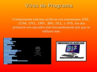 Comúnmente infectan archivos con extensiones .EXE,
.COM, .OVL, .DRV, .BIN, .DLL, y .SYS., los dos
primeros son atacados más frecuentemente por que se
utilizan mas.
 