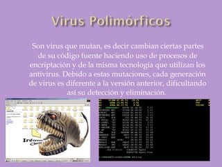 Son virus que mutan, es decir cambian ciertas partes
de su código fuente haciendo uso de procesos de
encriptación y de la misma tecnología que utilizan los
antivirus. Debido a estas mutaciones, cada generación
de virus es diferente a la versión anterior, dificultando
así su detección y eliminación. 
 