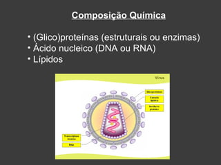 Composição Química (Glico)proteínas (estruturais ou enzimas)‏ Ácido nucleico (DNA ou RNA)‏ Lípidos 