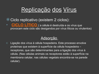 Replicação   dos   Vírus Ciclo replicativo (existem 2 ciclos): CICLO LÍTICO  ( a célula é destruída e os vírus que provocam este ciclo são desigandos por vírus líticos ou virulentos)‏ Adsorção  Ligação dos vírus à célula hospedeira. Este processo envolve proteínas que existem à superfície da célula hospedeira – receptores, que são determinantes para a ligação dos vírus à célula. (Nas células animais os receptores estão à superfície na membrana celular, nas células vegetais encontra-se na parede celular). 