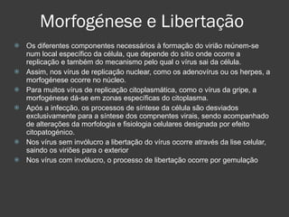 Morfogénese e Libertação Os diferentes componentes necessários à formação do virião reúnem-se num local específico da célula, que depende do sítio onde ocorre a replicação e também do mecanismo pelo qual o vírus sai da célula. Assim, nos vírus de replicação nuclear, como os adenovírus ou os herpes, a morfogénese ocorre no núcleo. Para muitos vírus de replicação citoplasmática, como o vírus da gripe, a morfogénese dá-se em zonas específicas do citoplasma. Após a infecção, os processos de síntese da célula são desviados exclusivamente para a síntese dos compnentes virais, sendo acompanhado de alterações da morfologia e fisiologia celulares designada por efeito citopatogénico. Nos vírus sem invólucro a libertação do vírus ocorre através da lise celular, saindo os viriões para o exterior Nos vírus com invólucro, o processo de libertação ocorre por gemulação 