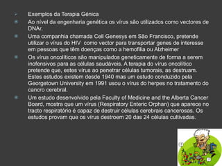 Exemplos da Terapia Génica Ao nível da engenharia genética os vírus são utilizados como vectores de DNAr. Uma companhia chamada Cell Genesys em São Francisco, pretende utilizar o vírus do HIV  como vector para transportar genes de interesse em pessoas que têm doenças como a hemofilia ou Alzheimer  Os vírus oncolíticos são manipulados geneticamente de forma a serem inofensivos para as células saudáveis. A terapia do vírus oncolítico pretende que, estes vírus ao penetrar células tumorais, as destruam. Estes estudos existem desde 1940 mas um estudo conduzido pela Georgetown University em 1991 usou o vírus do herpes no tratamento do cancro cerebral. Um estudo desenvolvido pela Faculty of Medicine and the Alberta Cancer Board, mostra que um vírus (Respiratory Enteric Orphan) que aparece no tracto respiratório é capaz de destruir células cerebrais cancerosas. Os estudos provam que os vírus destroem 20 das 24 células cultivadas. 