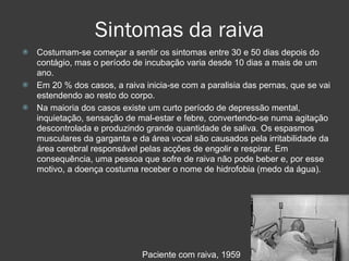 Sintomas da raiva Costumam-se começar a sentir os sintomas entre 30 e 50 dias depois do contágio, mas o período de incubação varia desde 10 dias a mais de um ano.  Em 20 % dos casos, a raiva inicia-se com a paralisia das pernas, que se vai estendendo ao resto do corpo.  Na maioria dos casos existe um curto período de depressão mental, inquietação, sensação de mal-estar e febre, convertendo-se numa agitação descontrolada e produzindo grande quantidade de saliva. Os espasmos musculares da garganta e da área vocal são causados pela irritabilidade da área cerebral responsável pelas acções de engolir e respirar. Em consequência, uma pessoa que sofre de raiva não pode beber e, por esse motivo, a doença costuma receber o nome de hidrofobia (medo da água). Paciente com raiva, 1959 
