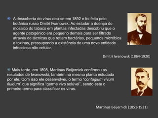A descoberta do vírus deu-se em 1892 e foi feita pelo botânico russo Dmitri Iwanowsk. Ao estudar a doença do mosaico do tabaco em plantas infectadas descobriu que o agente patogénico era pequeno demais para ser filtrado  através de técnicas que retiam bactérias, pequenos micróbios e toxinas, pressupondo a existência de uma nova entidade infecciosa não celular. Dmitri Iwanowsk (1864-1920) Mais tarde, em 1898, Martinus Beijernick confirmou os  resulados de Iwanowski, também na mesma planta estudada por ele. Com isso ele desenvolveu o termo  “ contagium vivum fluidum ” que significa “germe vivo solúvel”, sendo este o primeiro termo para classificar os vírus. Martinus Beijernick (1851-1931) 